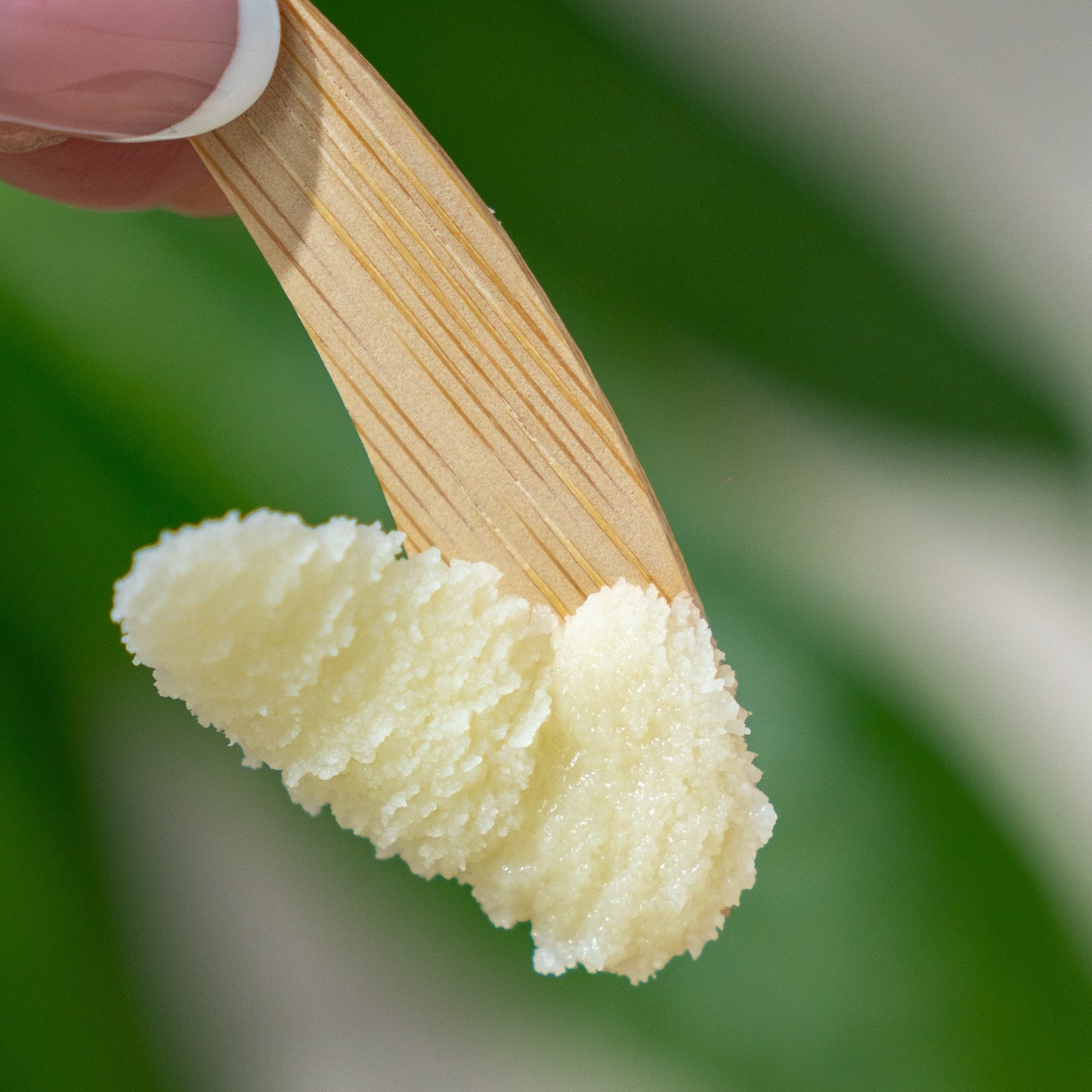 Palmarosa Kokum Hand Salve