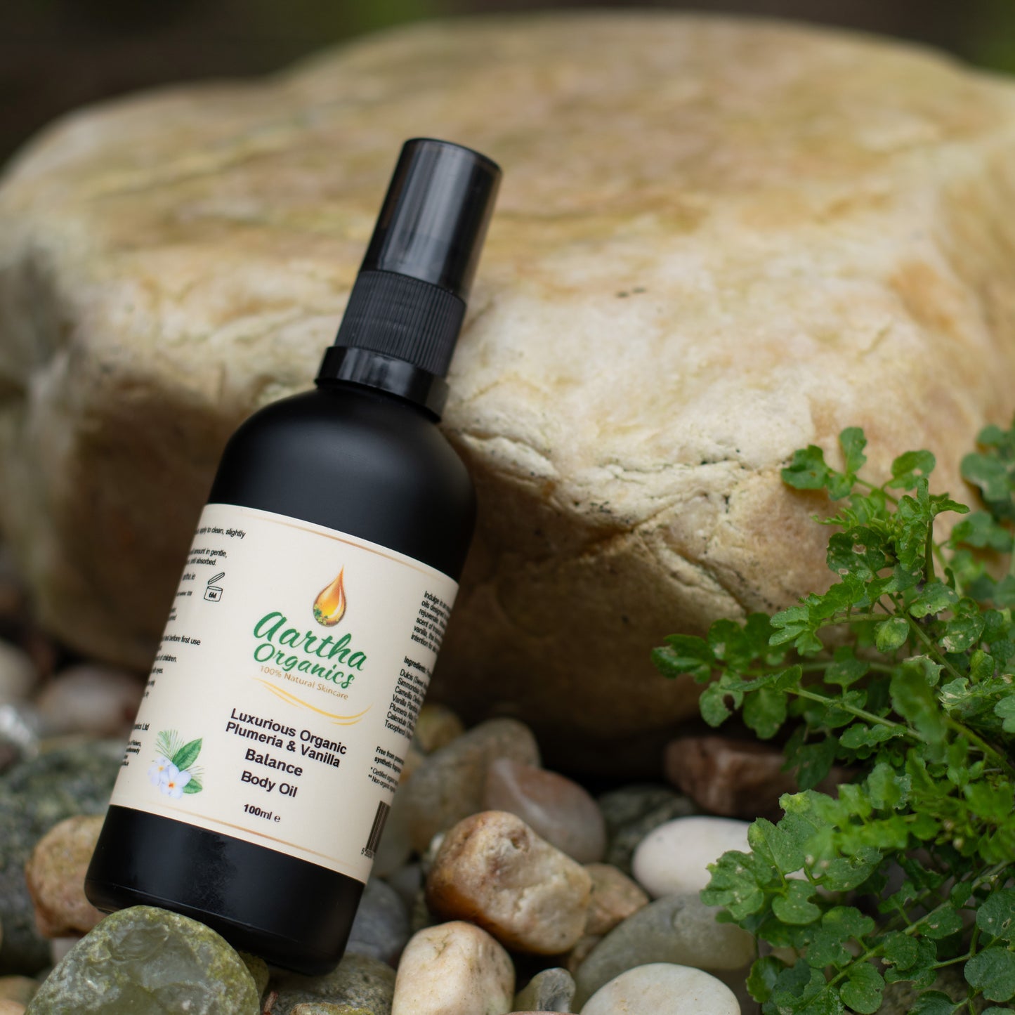 Luxurious Plumeria Body Oil * New Design Bottle